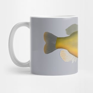 Redspotted Sunfish Mug